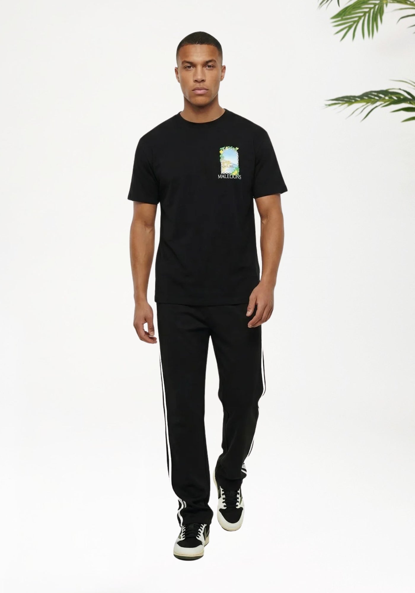 Cotton District MALELIONS AMALFI WINDOW T-SHIRT T-Shirts BLACK