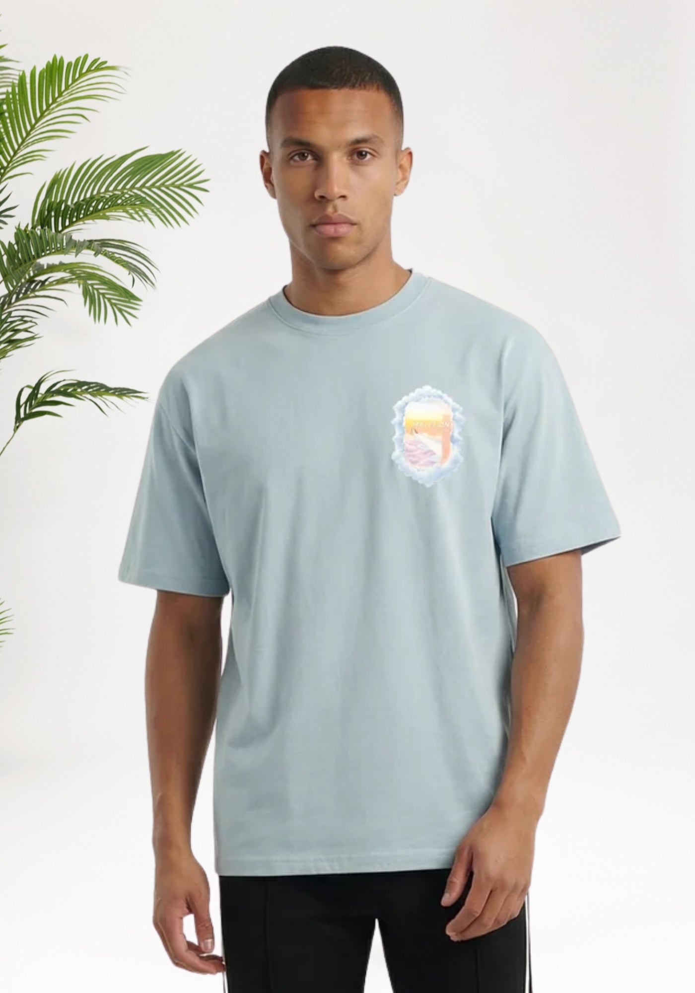 Cotton District MALELIONS DAYDREAM T-SHIRT T-Shirts ICE BLUE