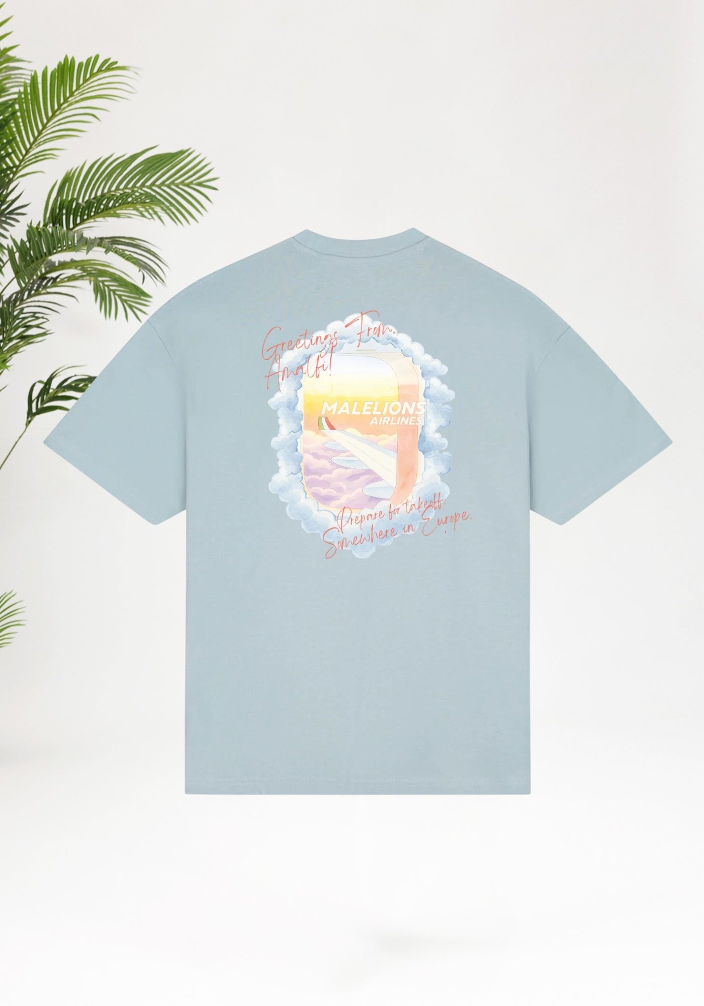 Cotton District MALELIONS DAYDREAM T-SHIRT T-Shirts ICE BLUE