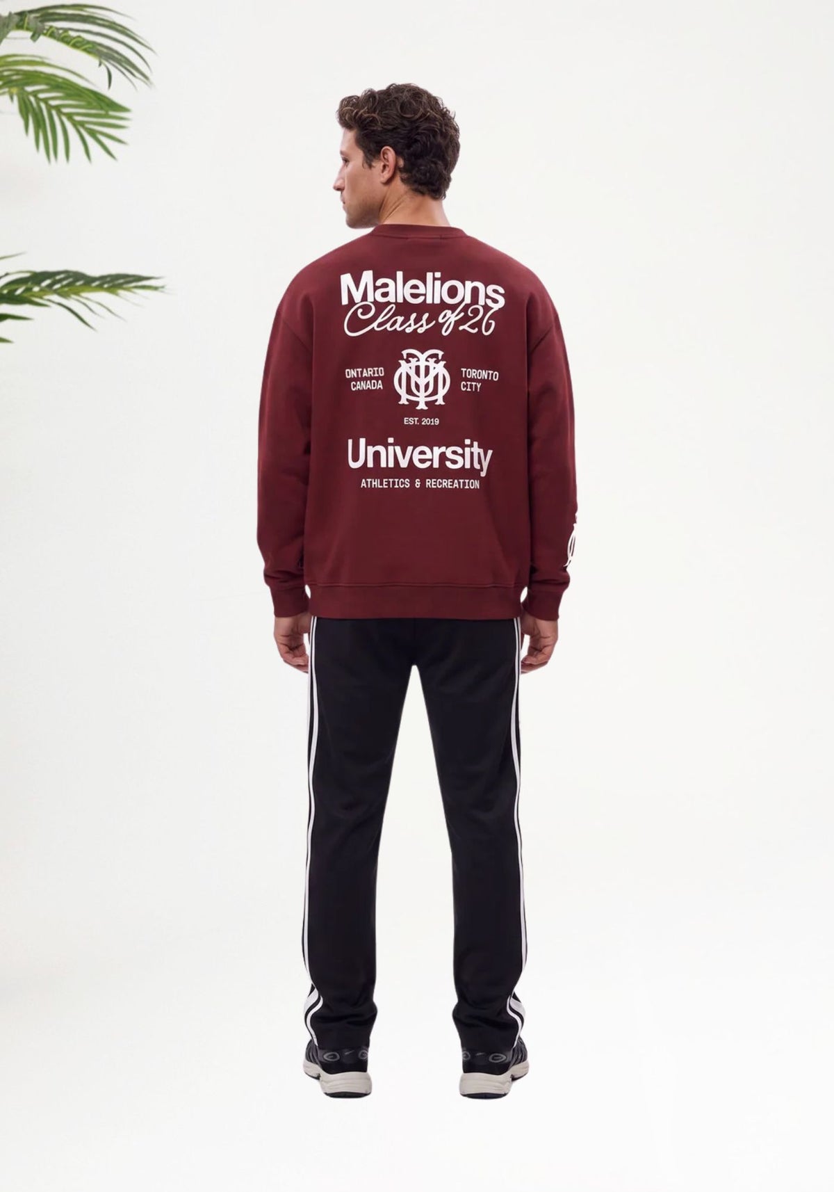 Cotton District MALELIONS MEN CLASS OF 26 SWEATER Sweaters BURGUNDY