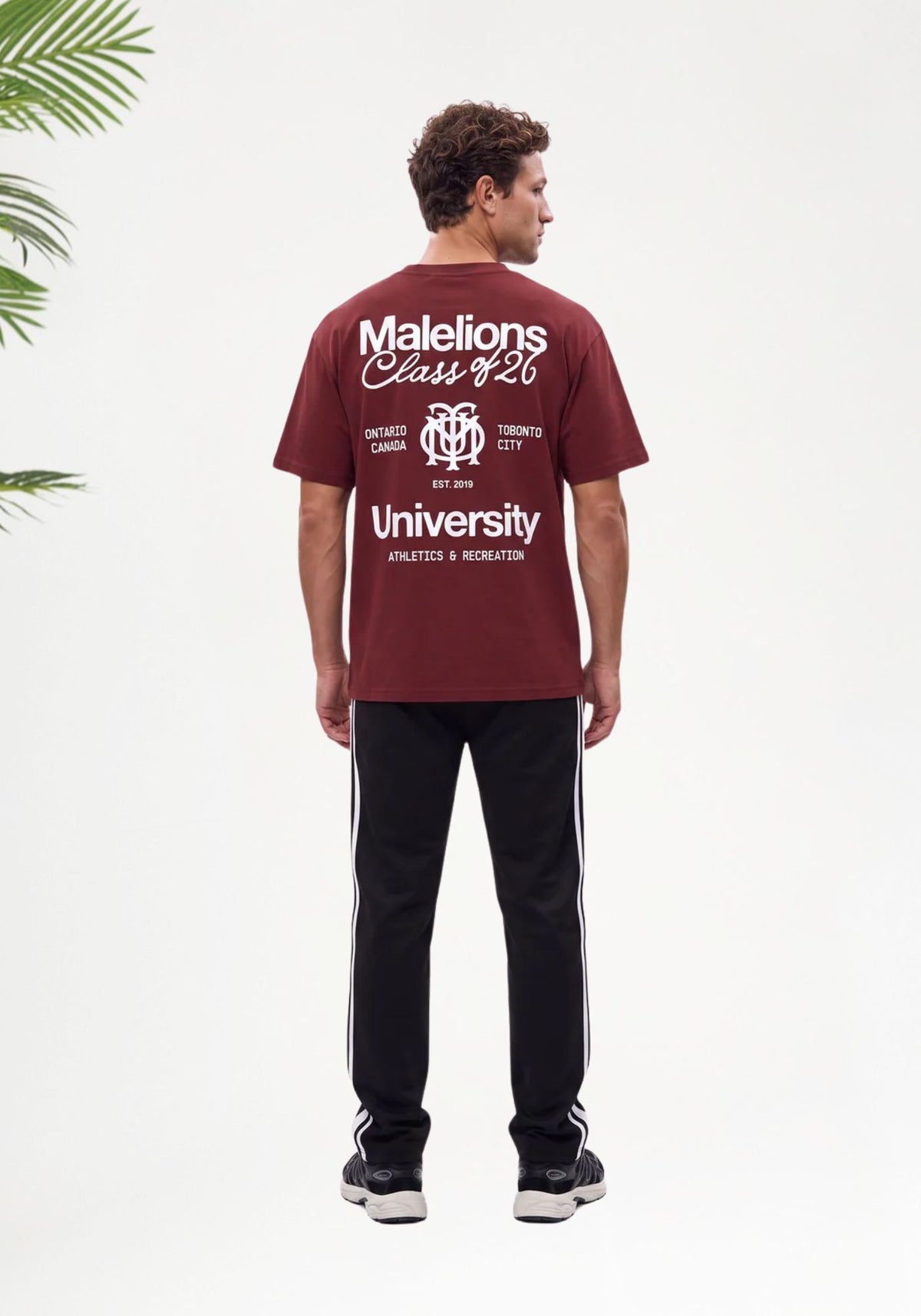 Cotton District MALELIONS MEN CLASS OF 26 T-SHIRT T-Shirts BURGUNDY