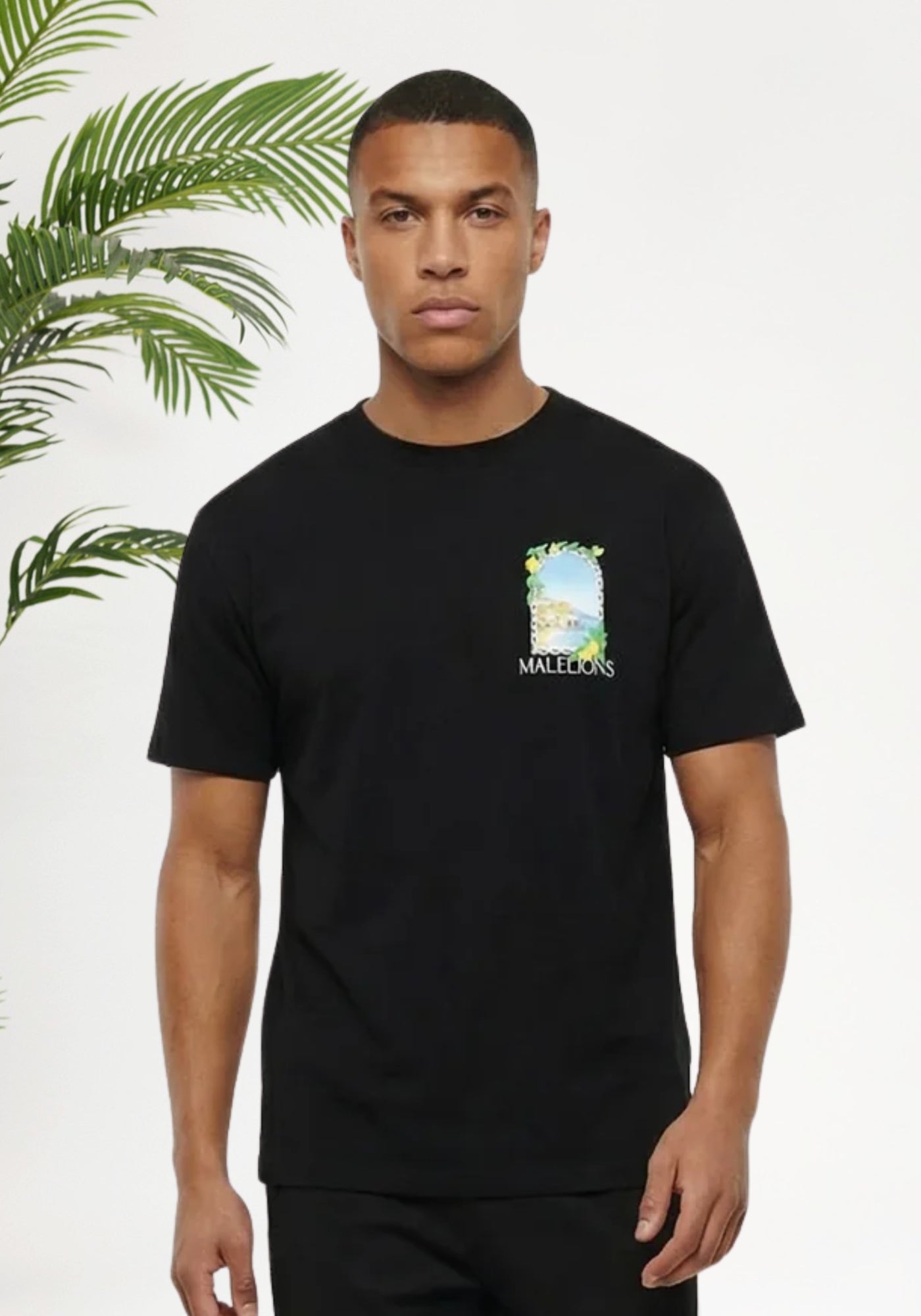 Cotton District MALELIONS AMALFI WINDOW T-SHIRT T-Shirts BLACK