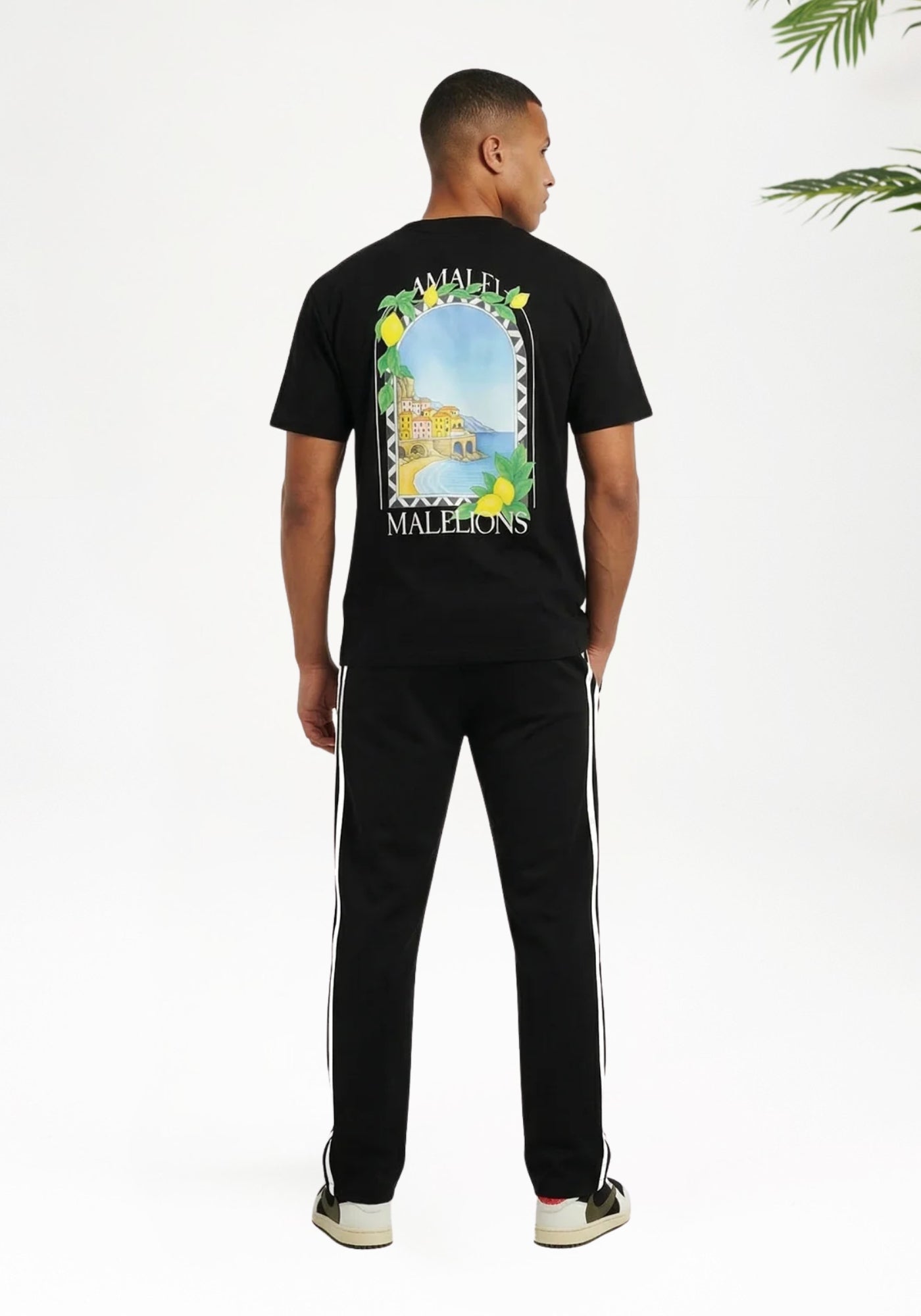 Cotton District MALELIONS AMALFI WINDOW T-SHIRT T-Shirts BLACK