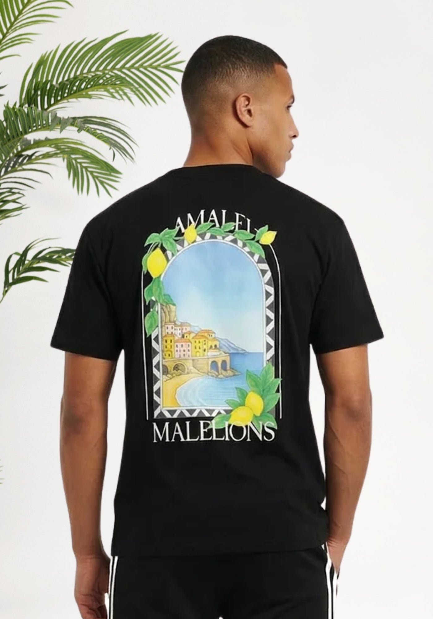 Cotton District MALELIONS AMALFI WINDOW T-SHIRT T-Shirts BLACK
