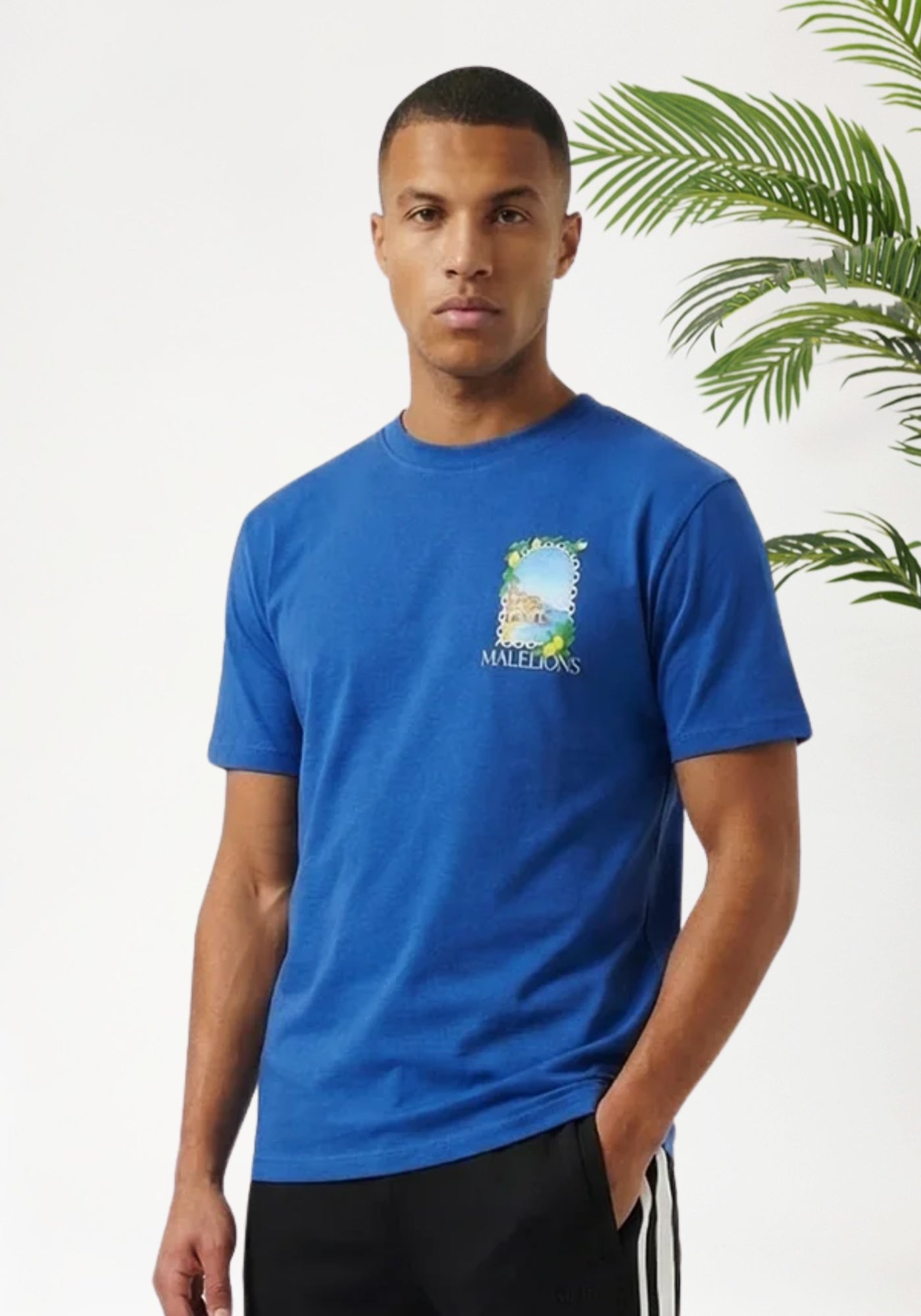 Cotton District MALELIONS AMALFI WINDOW T-SHIRT T-Shirts COBALT