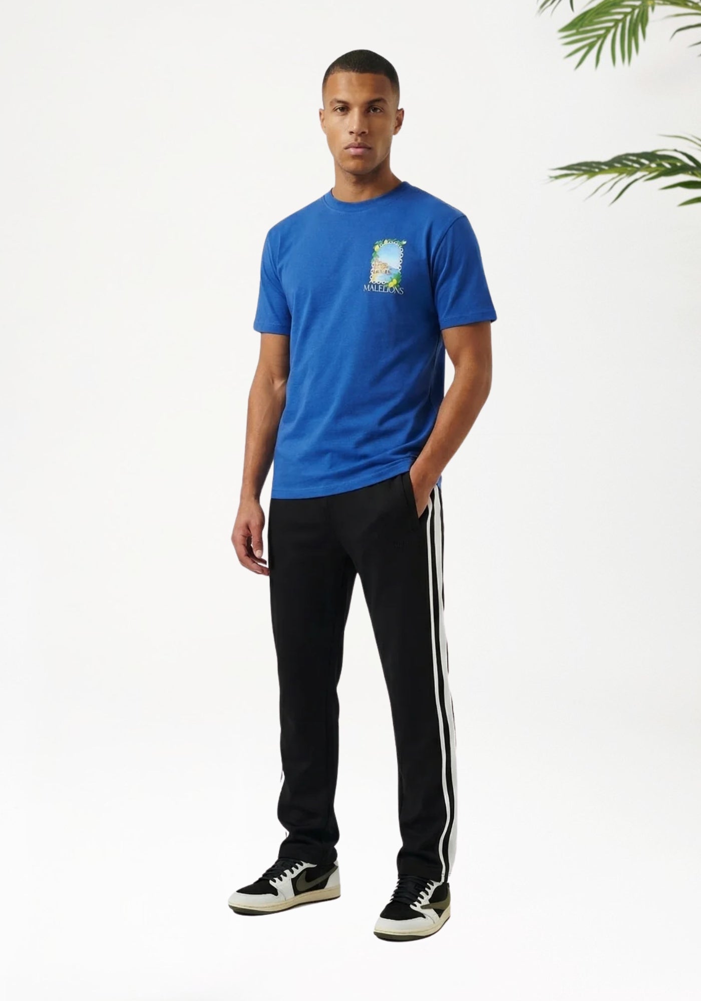 Cotton District MALELIONS AMALFI WINDOW T-SHIRT T-Shirts COBALT
