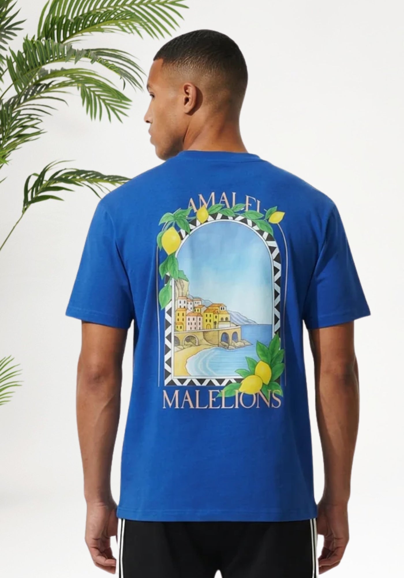 Cotton District MALELIONS AMALFI WINDOW T-SHIRT T-Shirts COBALT