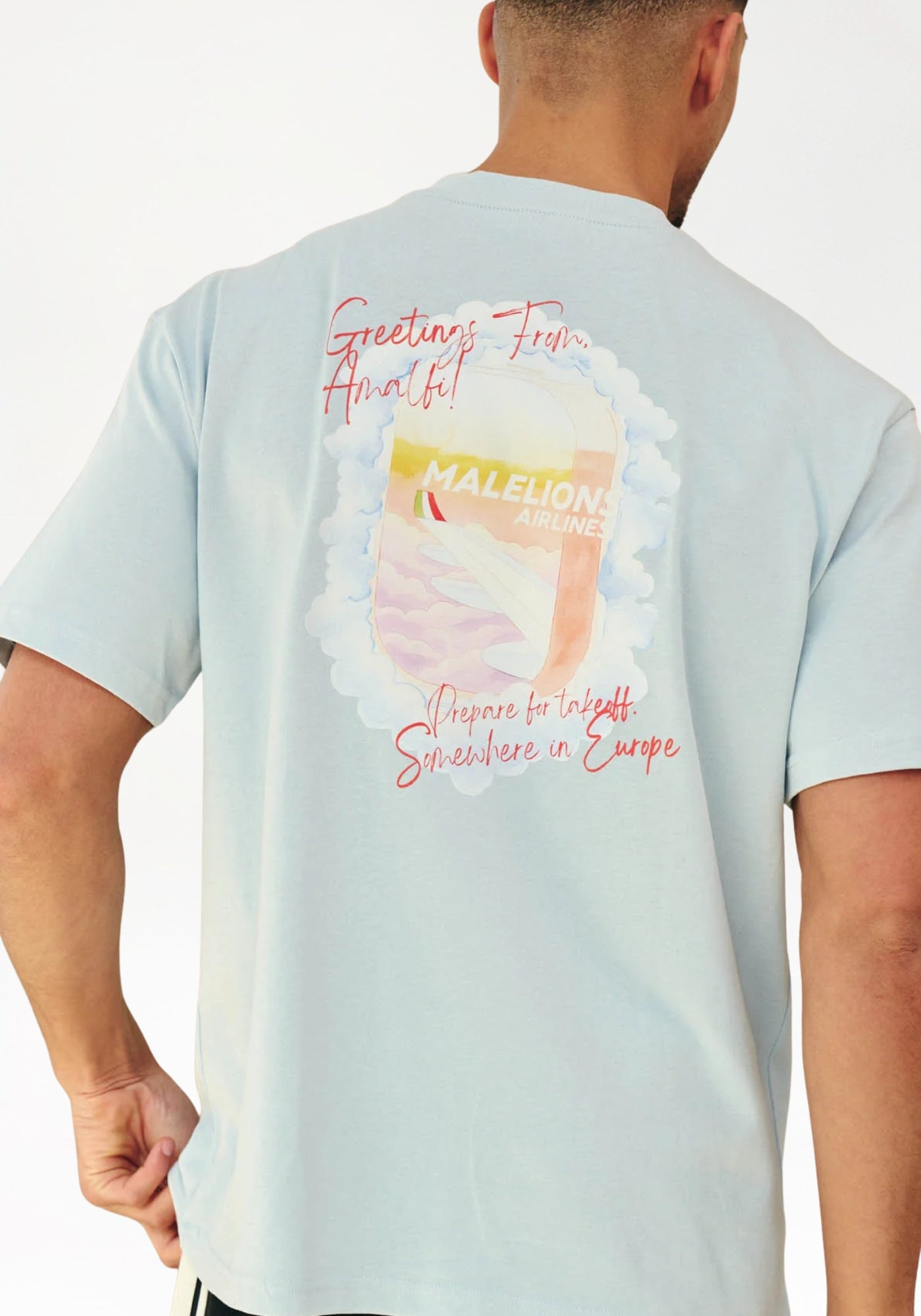 Cotton District MALELIONS DAYDREAM T-SHIRT T-Shirts ICE BLUE