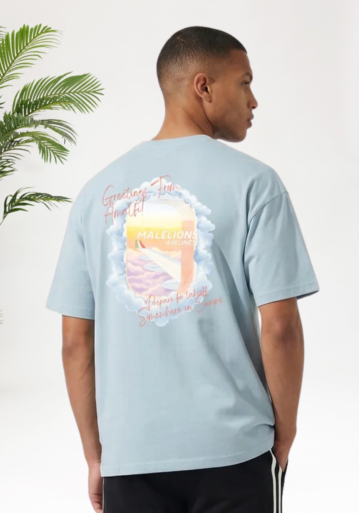 Cotton District MALELIONS DAYDREAM T-SHIRT T-Shirts ICE BLUE