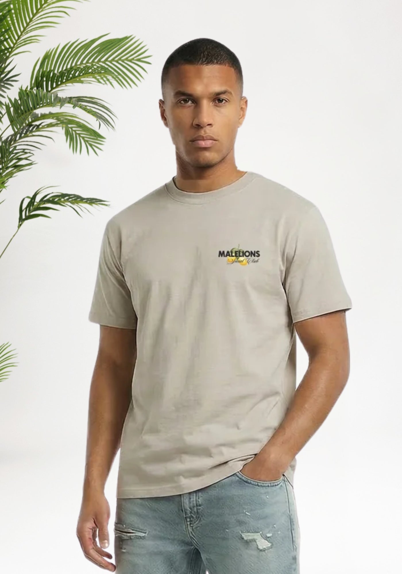 Cotton District MALELIONS DI CAPRI T-SHIRT T-Shirts LIGHT TAUPE