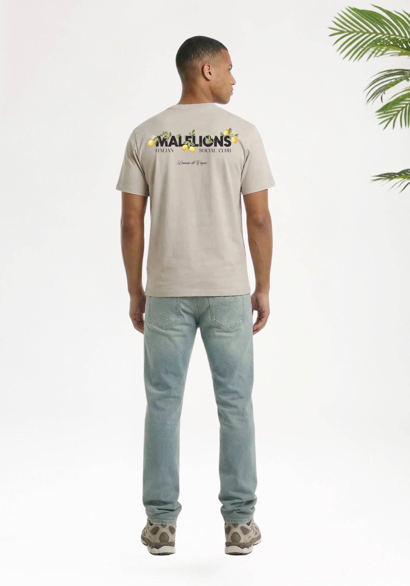Cotton District MALELIONS DI CAPRI T-SHIRT T-Shirts LIGHT TAUPE