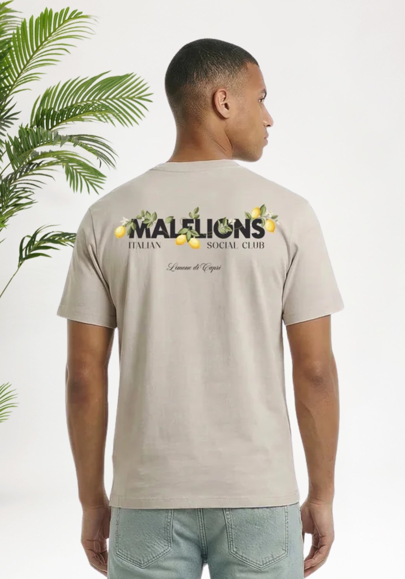 Cotton District MALELIONS DI CAPRI T-SHIRT T-Shirts LIGHT TAUPE