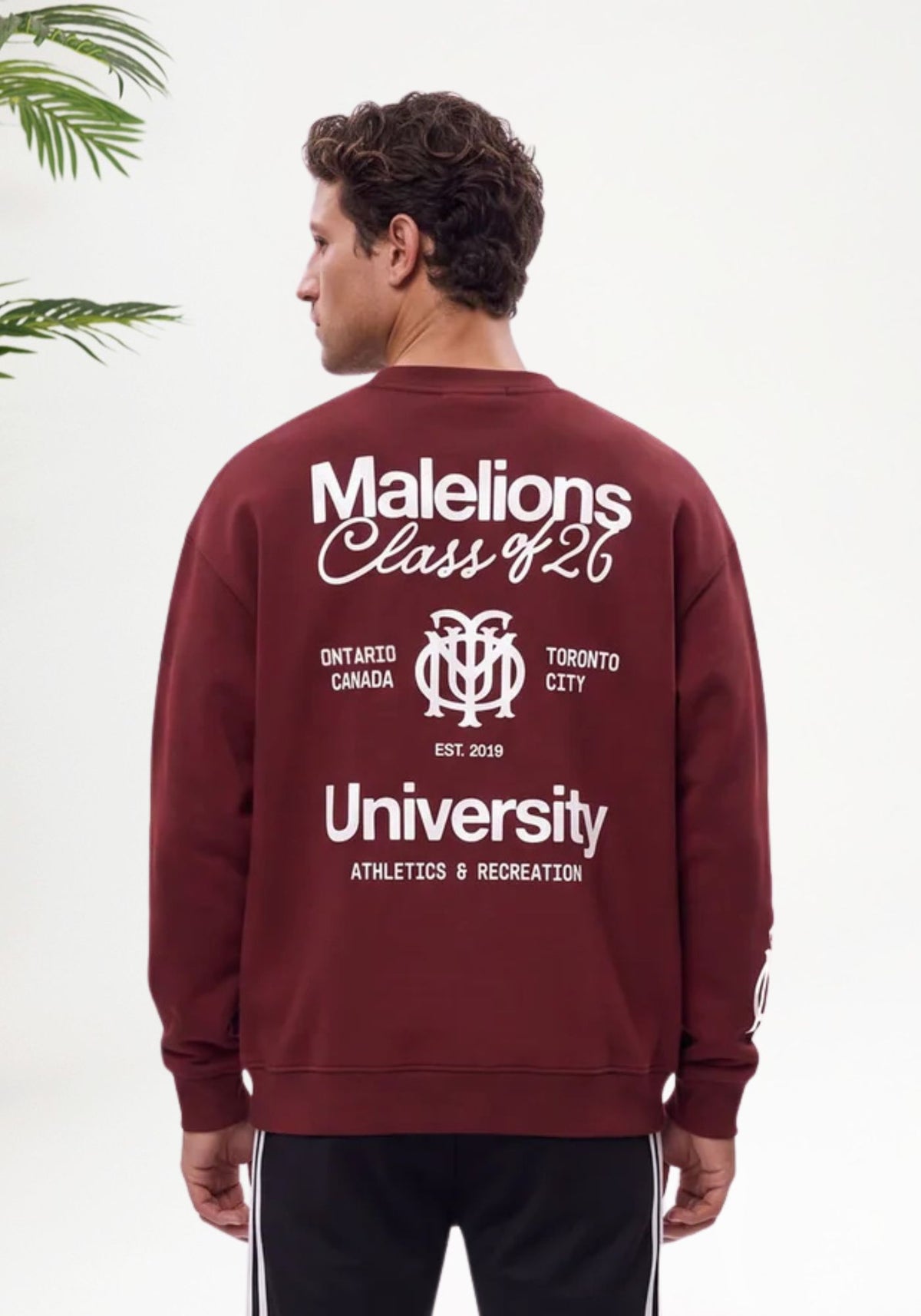 Cotton District MALELIONS MEN CLASS OF 26 SWEATER Sweaters BURGUNDY