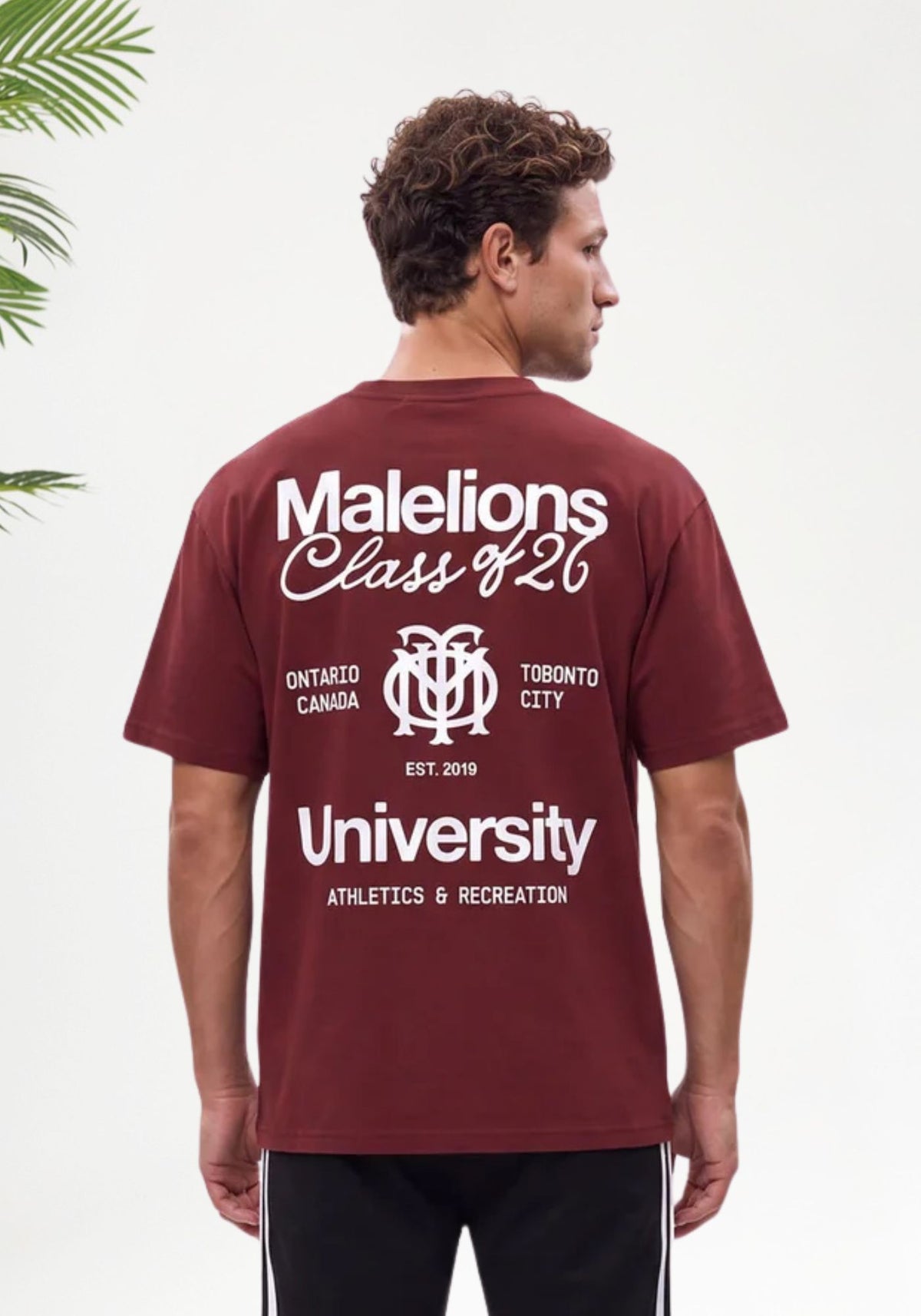 Cotton District MALELIONS MEN CLASS OF 26 T-SHIRT T-Shirts BURGUNDY