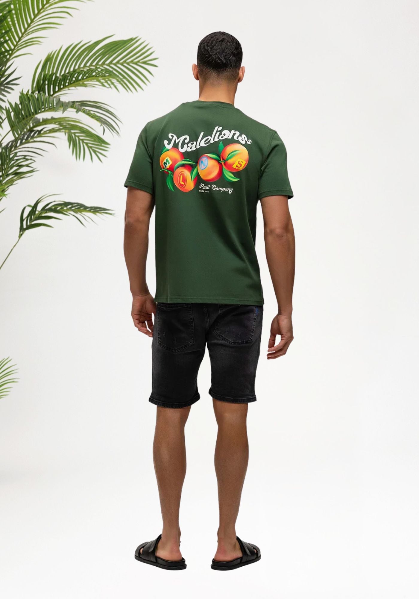 Cotton District MALELIONS MEN FRUIT COMPANY T-SHIRT T-Shirts GREEN