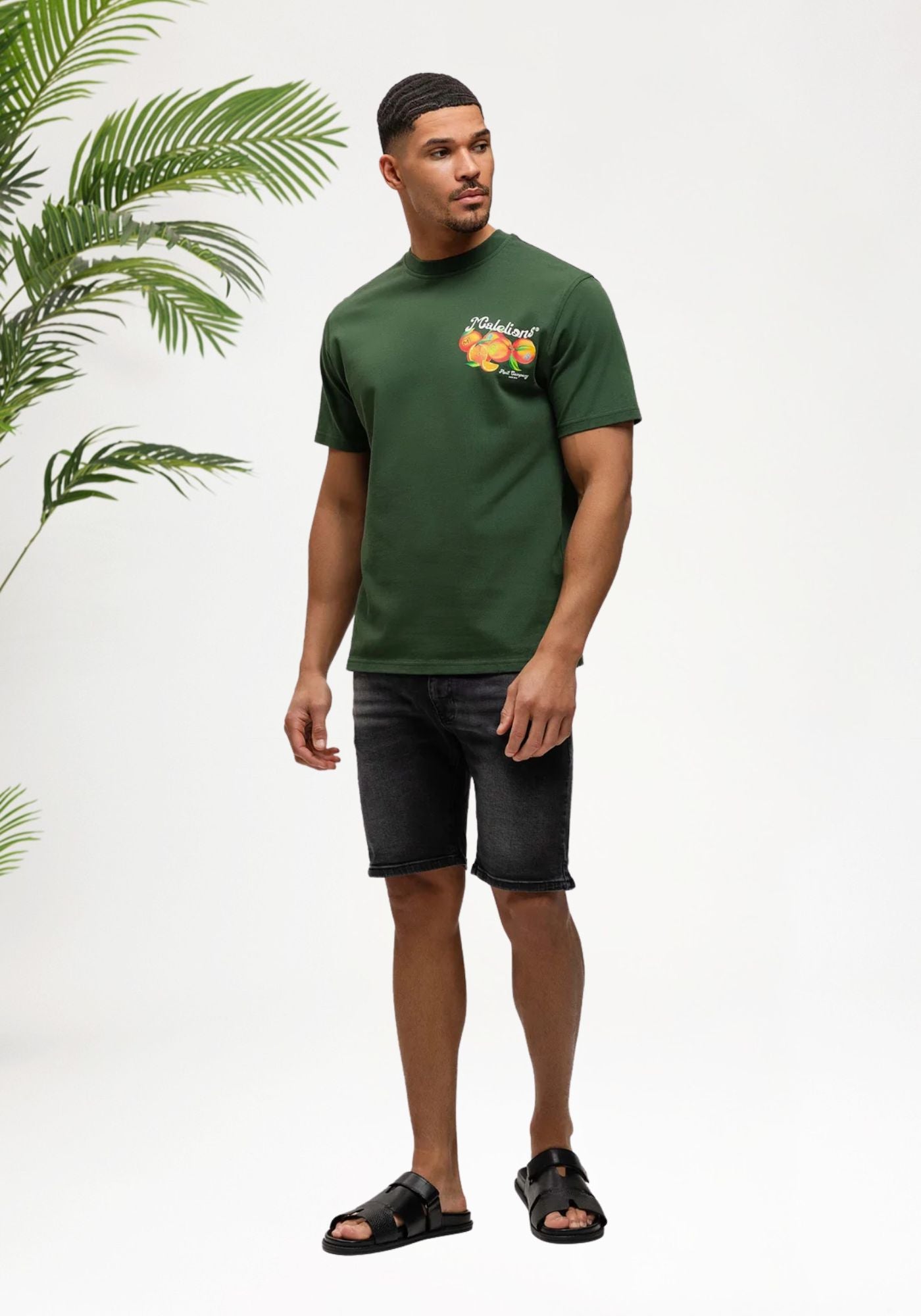 Cotton District MALELIONS MEN FRUIT COMPANY T-SHIRT T-Shirts GREEN