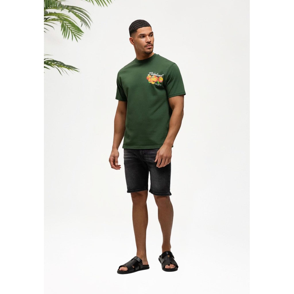 Cotton District MALELIONS MEN FRUIT COMPANY T-SHIRT T-Shirts GREEN