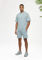 Cotton District MALELIONS OVERSIZED STRIPED SIGNATURE T-SHIRT T-Shirts ICE BLUE