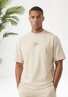 Cotton District MALELIONS OVERSIZED STRIPED SIGNATURE T-SHIRT T-Shirts LIGHT TAUPE