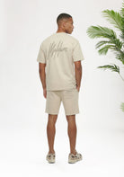 Cotton District MALELIONS OVERSIZED STRIPED SIGNATURE T-SHIRT T-Shirts LIGHT TAUPE