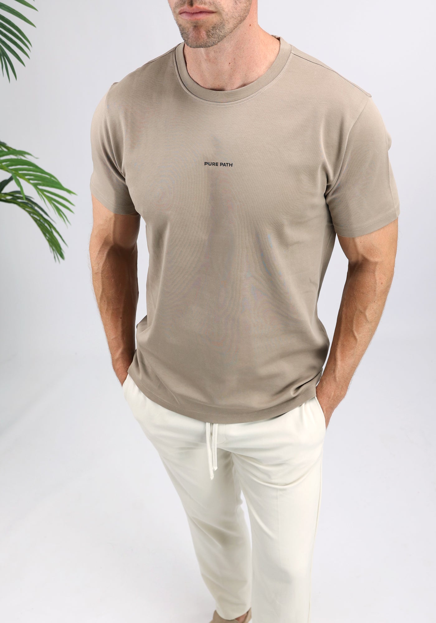 Cotton District PURE PATH FLAMING CACTUS T-SHIRT  TAUPE